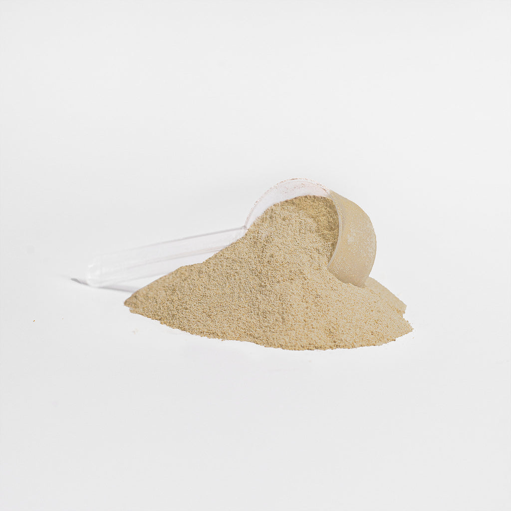 Advanced 100% Whey Protein Isolate – Vanilla Flavor